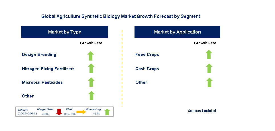 Agriculture Synthetic Biology Market by Segment